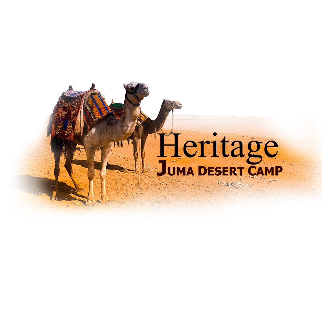 Jaisalmer Desert Camp | Desert Safari | Camp | In Jaisalmer