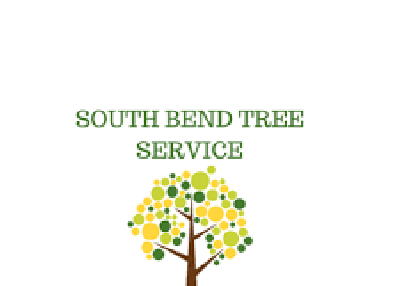 South Bend Tree Service