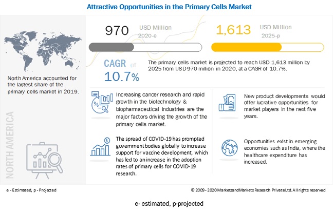 Primary Cells Market worth USD 1,613 million : Analysis of Worldwide Industry Trends and Opportunities