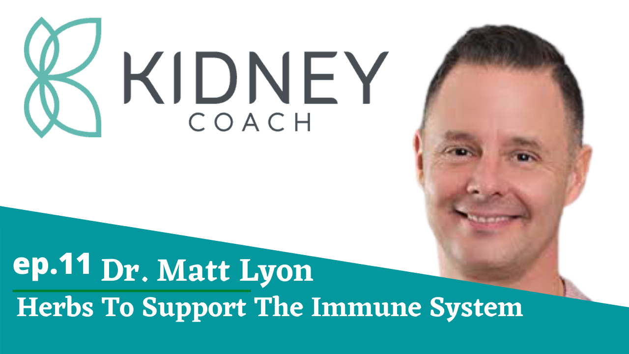 Herbs To Support The Immune System