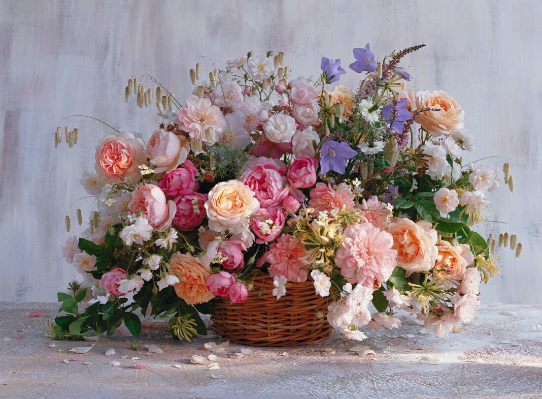 Imperial Rose Flowers Which Can Make Your House Look Like A Palace