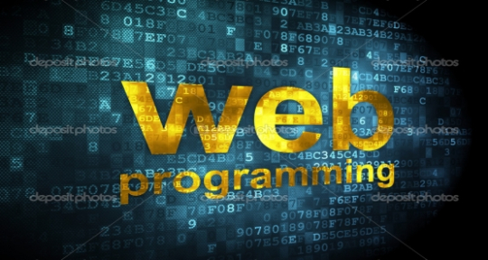 Web Programming Company in India