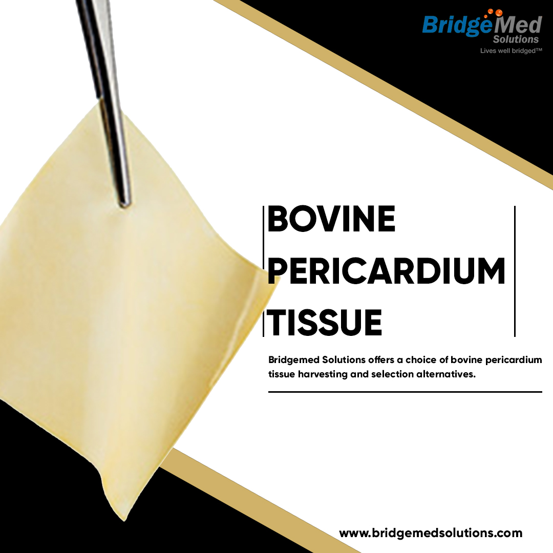 Bovine Pericardium Tissue
