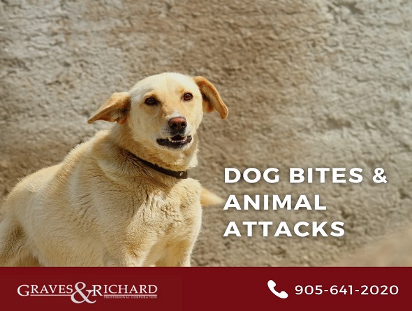 Dog Bite Liability