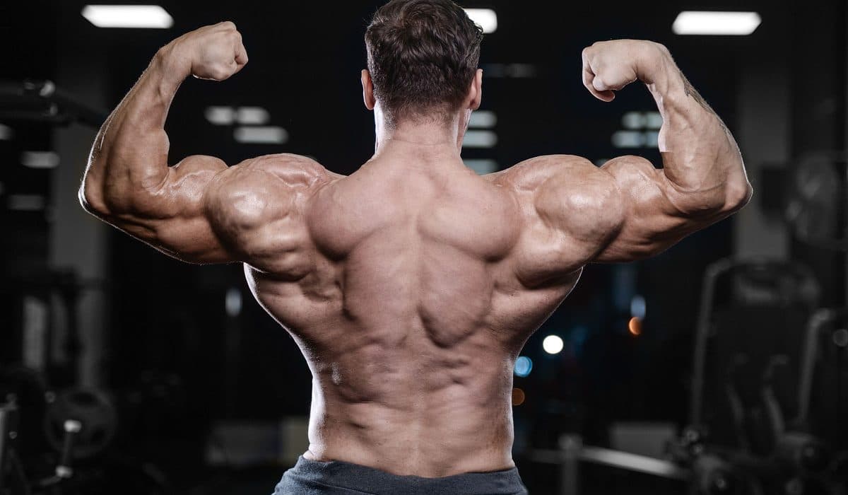 Ostarine Overview Information - What You Need To Know