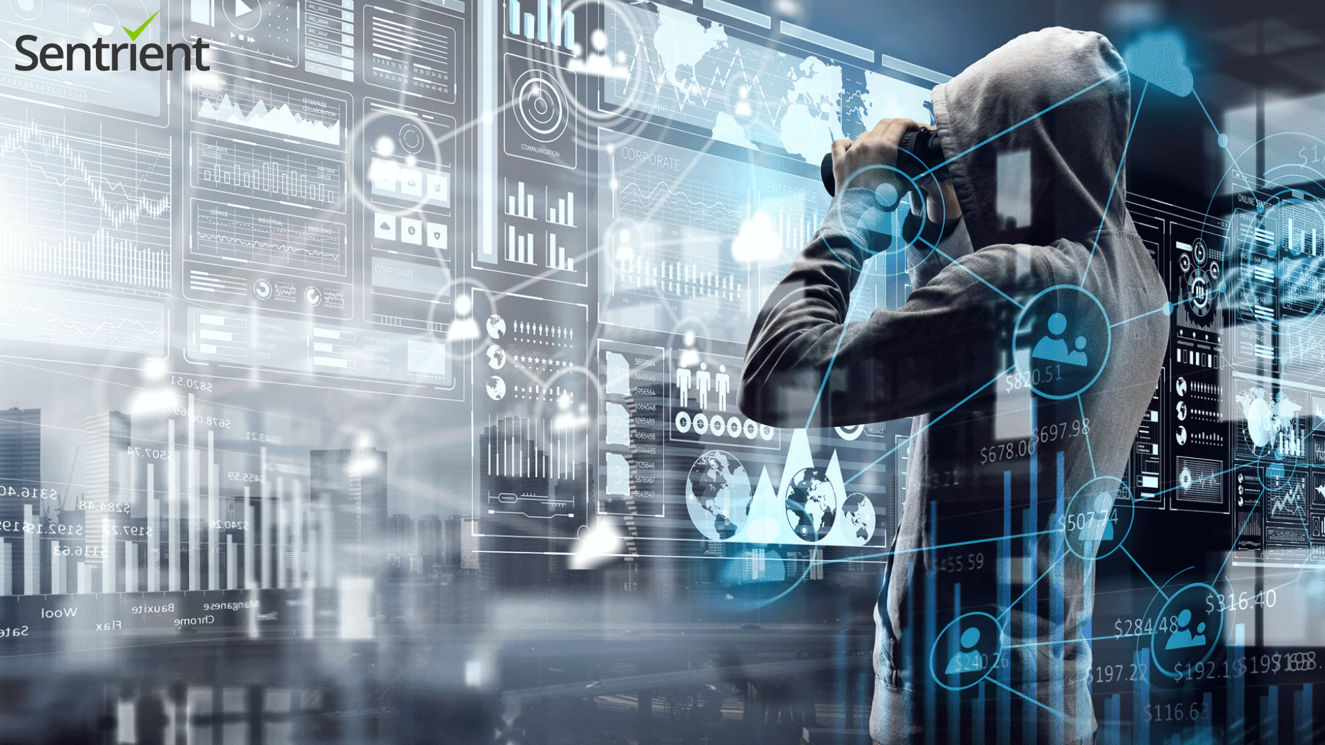 Cyber Security Training Course by Sentrient