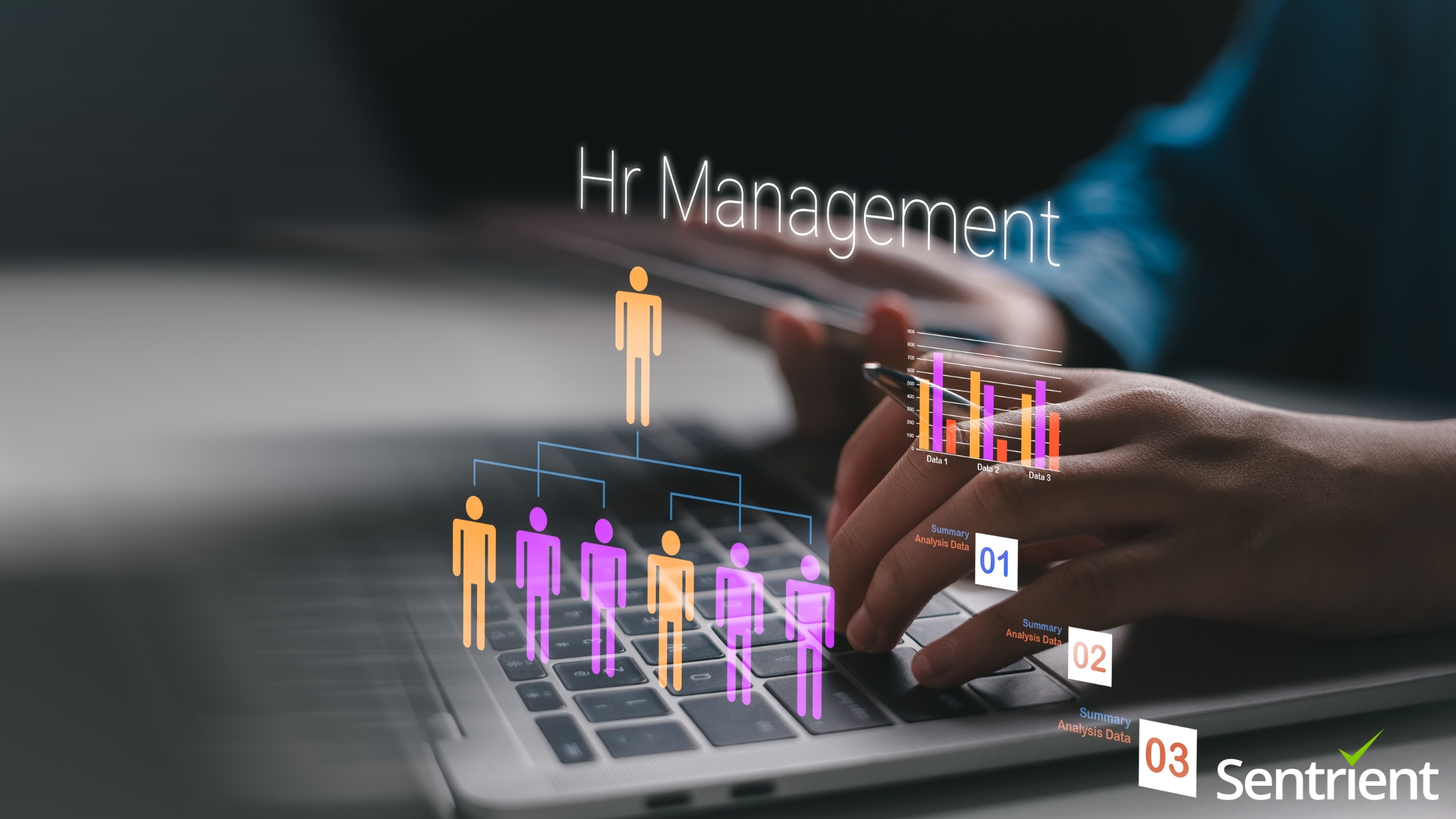 ELMO Software Alternatives: Cloud HR Systems That Simplify People Management