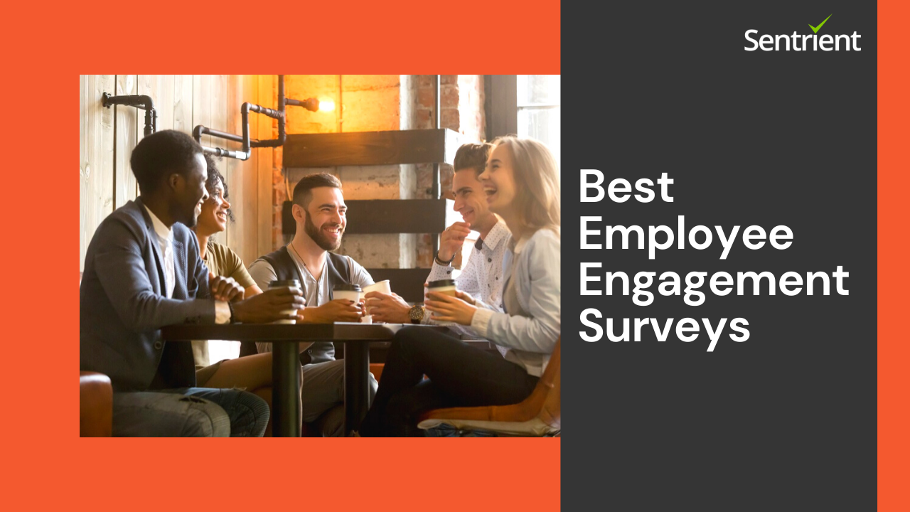 Best Online Employee Engagement Survey System | Sentrient