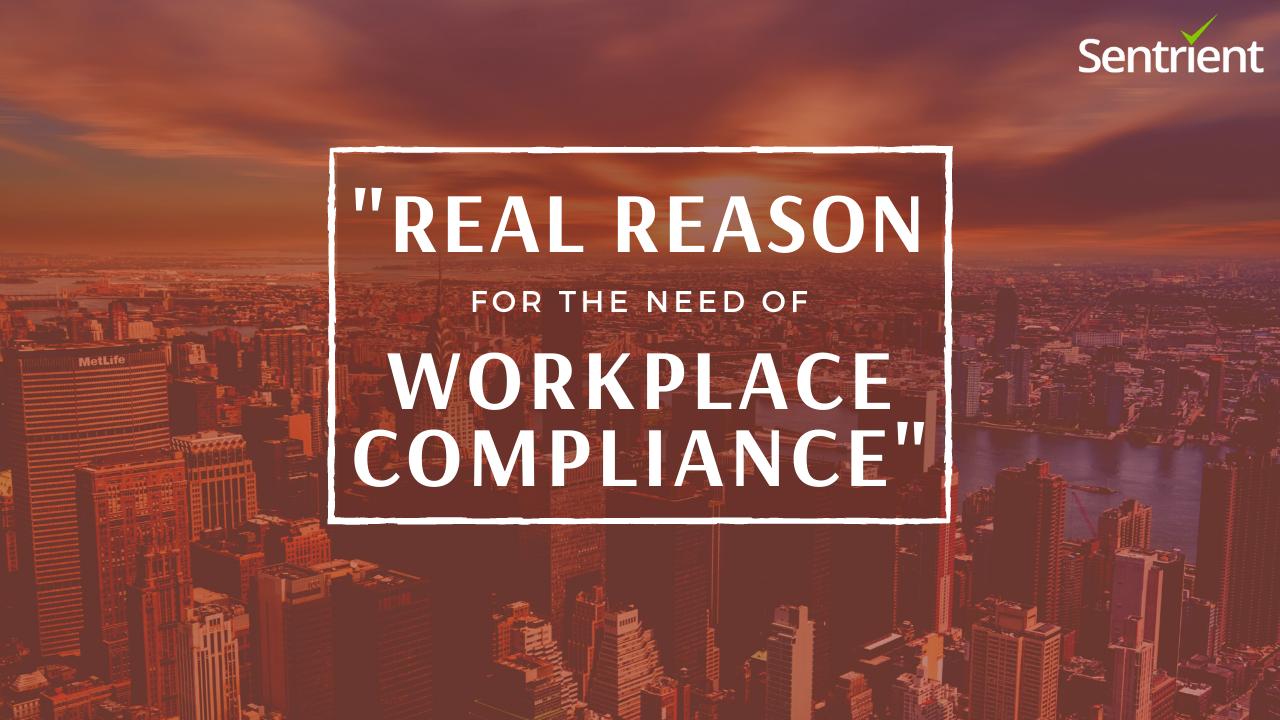 How Workplace Compliance System is Important? | Sentrient