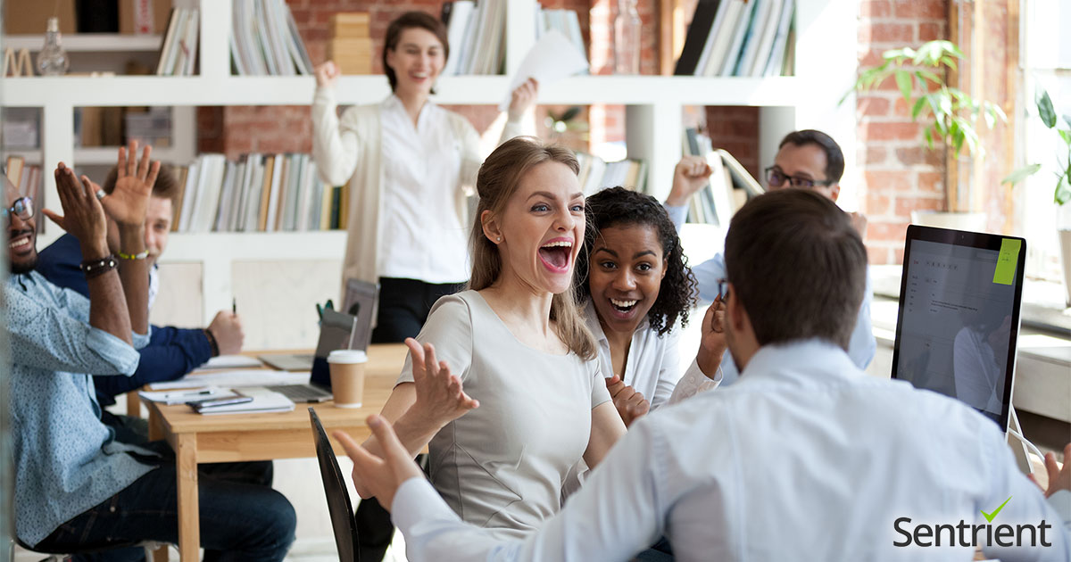 Best Employee Engagement Survey System