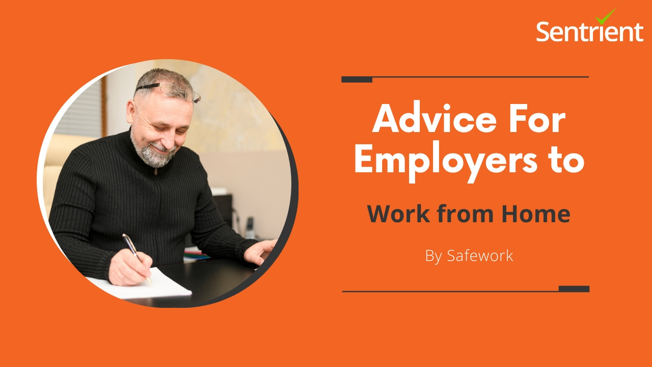 Work From Home Advice For Employers By Safework Australia