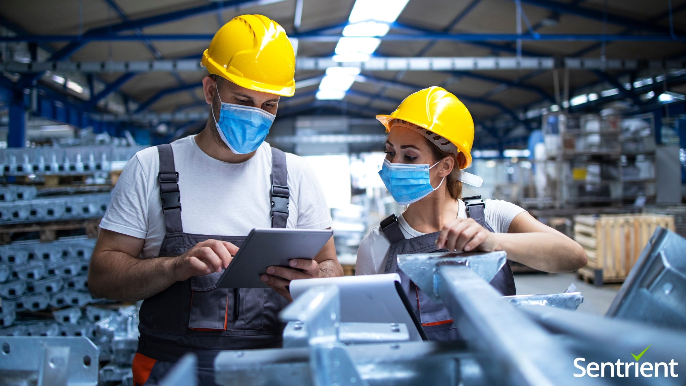 Occupational Health and Safety (OHS) Training Course for Australia & New Zealand | Sentrient