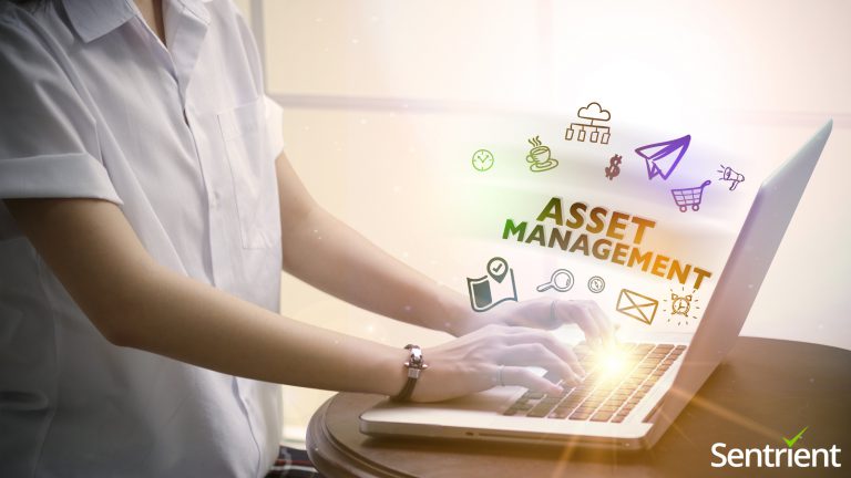 What Is An Online Asset Management System