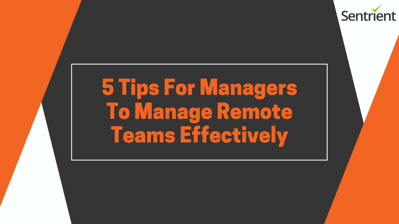 5 Tips for Managers to Manage Remote Teams Effectively- COVID-19 | Sentrient