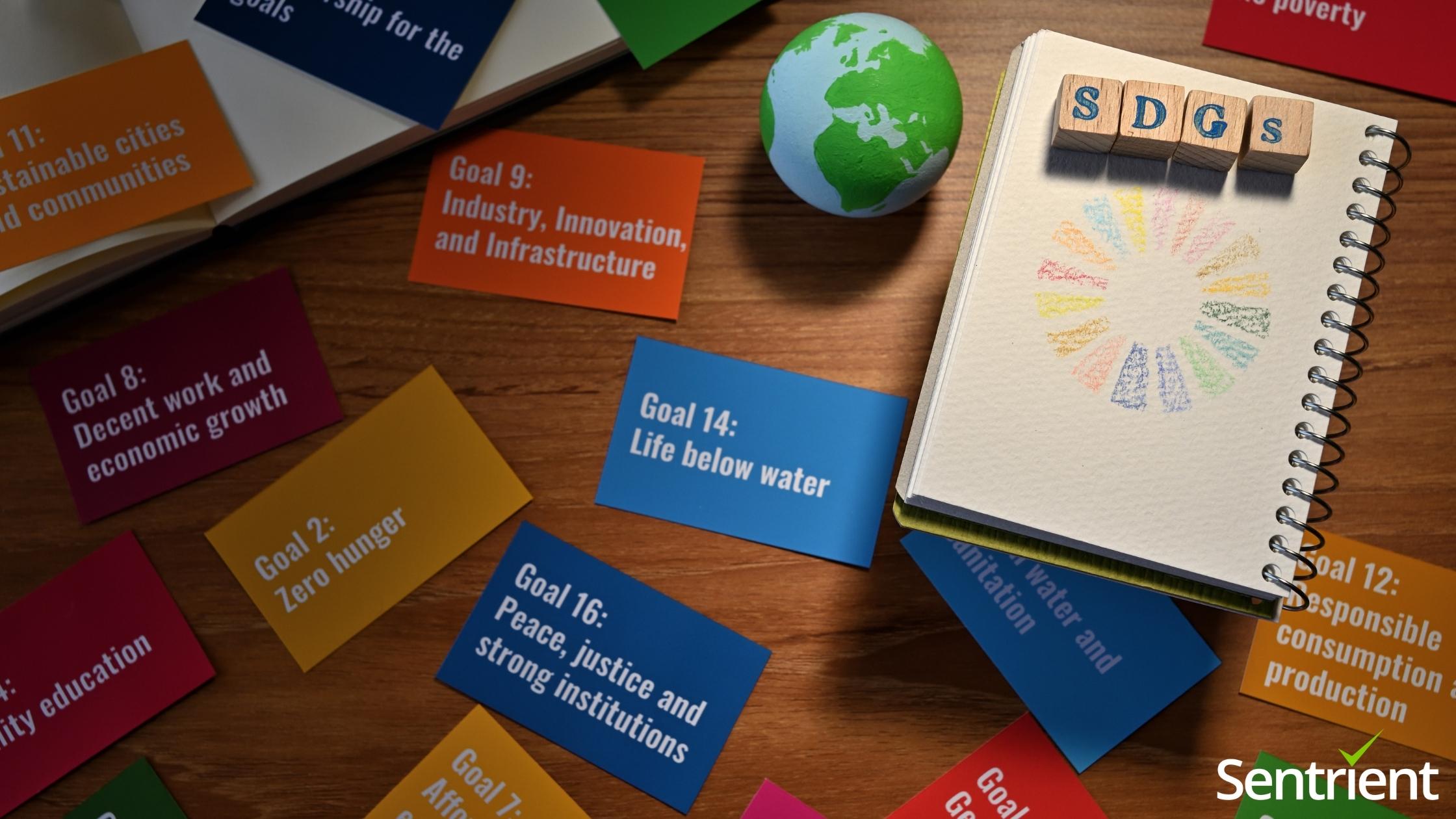 Download FREE Sustainable Development Goals (SDG) Online Training Course | Sentrient