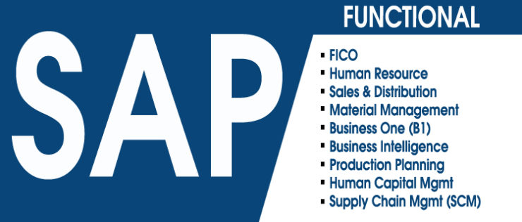 SAP FICO Training Center in Delhi