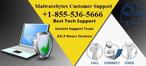Malwarebytes Number +1-855-(536-5666)