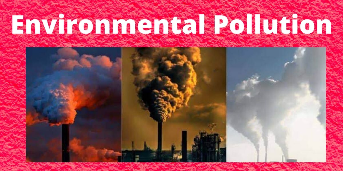 Essay for Environmental Pollution