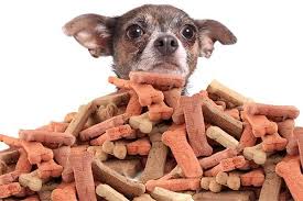 Animal & Pet Food Flavors Market Insights 2019