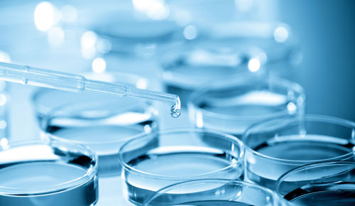 Oxidizing Biocide Market Professional Survey Report 2019