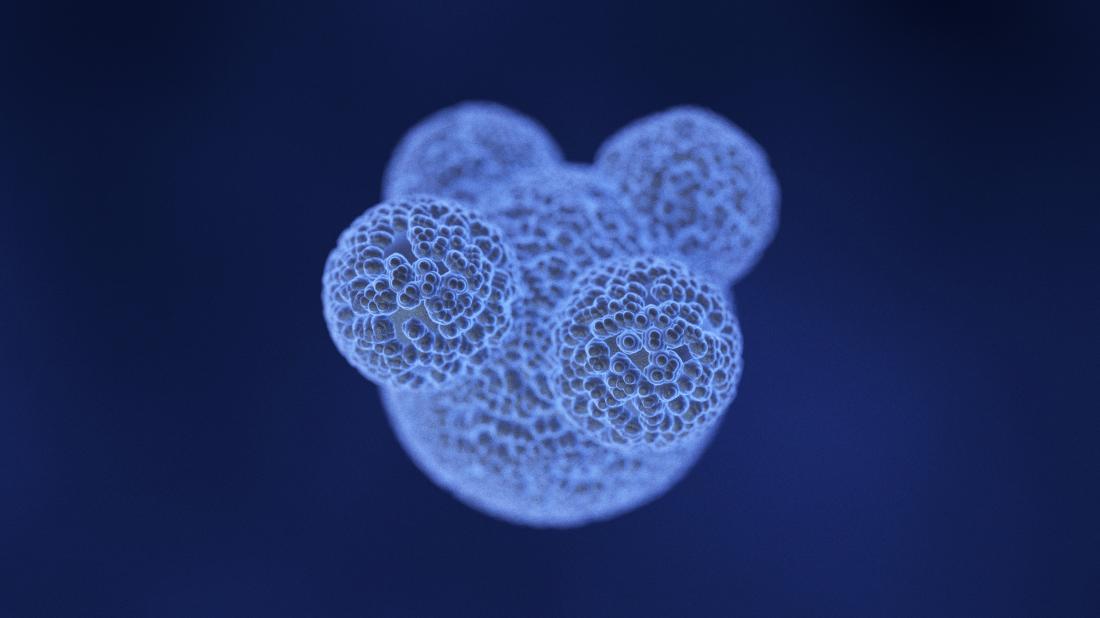 Cancer Stem Cells Market Insights 2019