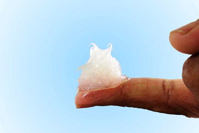 Petroleum Jelly Market Insights 2019
