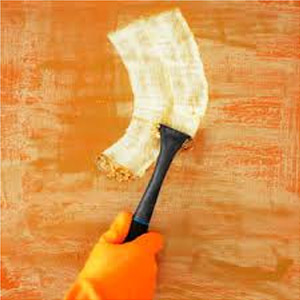 Industrial Paint Stripper Market Insights 2019