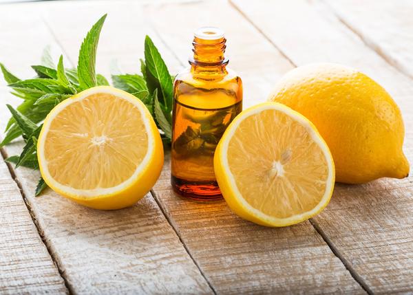 Citrus Oil Market Professional Survey Report 2019