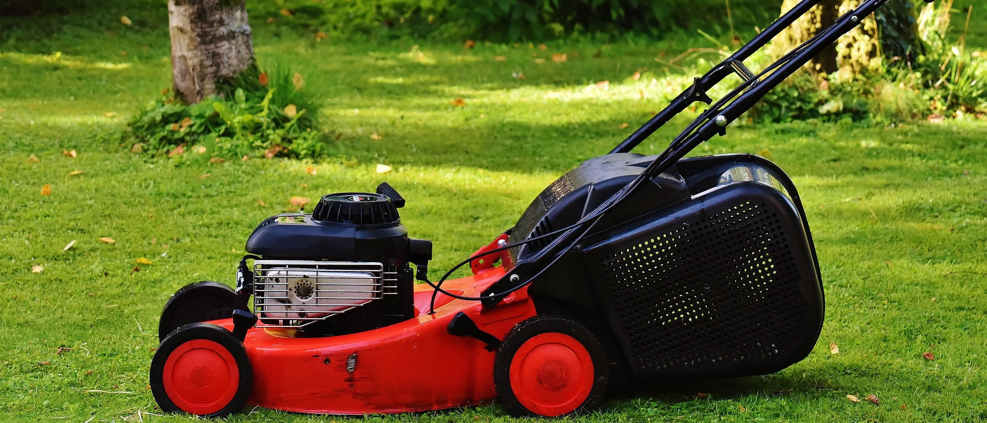 Walk Behind Lawn Mowers Market Insights 2019