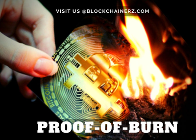 Wondering What On Earth Is Proof-of-Burn? Read This!