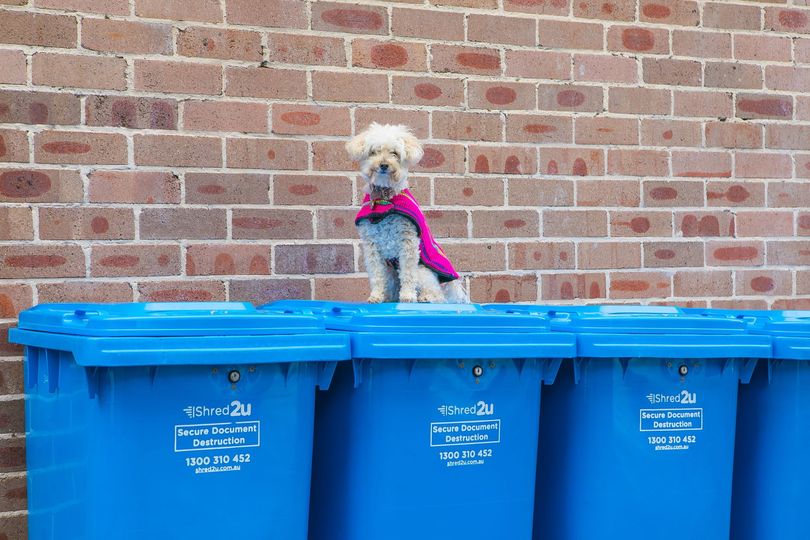 Make sure all your documents destroyed confidentially with secure shredding service