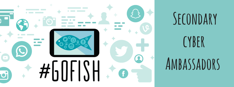 Ambassadors Cyber Technology