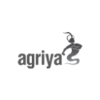 Leading and Best Clone Scripts Developers in India