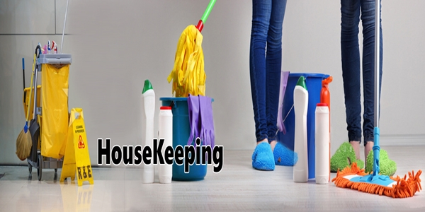 Professional Housekeeping Services in Delhi