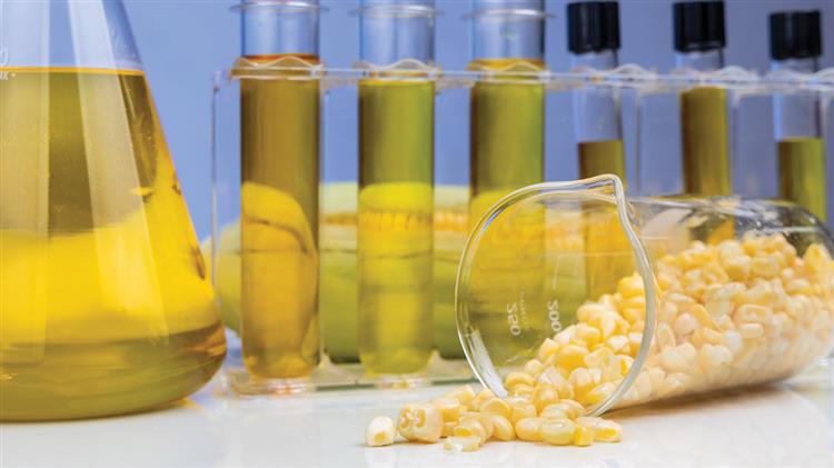 Bio Lubricant Market Report Analysis 2015-2030: Industry Size, Share, Growth and Forecast - ChemAnalyst