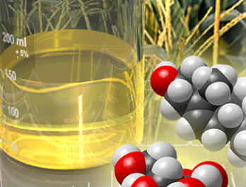 Propylene Market is Projected to Grow at a CAGR of 5.25% by 2030 - ChemAnalyst