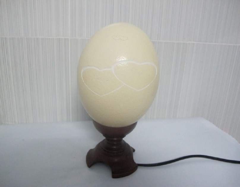 The way instructions for making lamp from the shipping application, available in the family