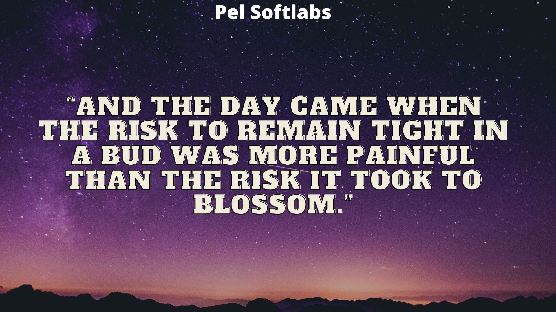 Pel Softlabs Pvt Ltd- IT Services