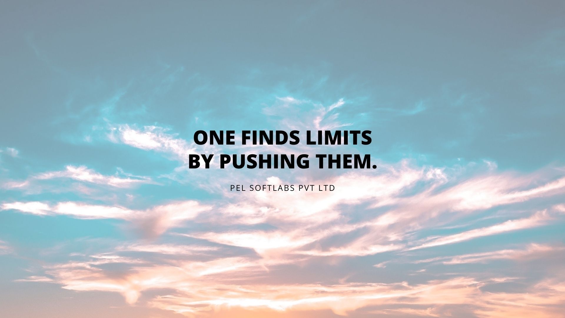 Pel Softlabs Pvt ltd -  Business Solutions