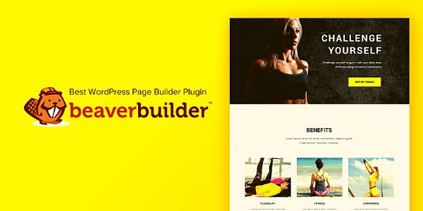 Build A Website Quickly with WP Beaver Builder