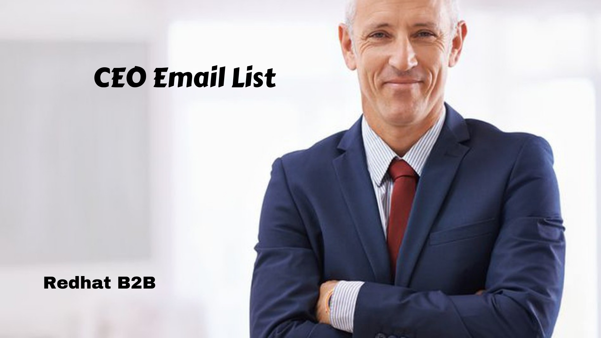 CEO Email List | CEO Mailing List | CEO Email Addresses