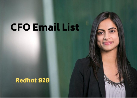CFO Email List | CFO Mailing List | CFO Email Database