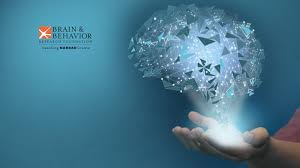brain and behavior research foundation