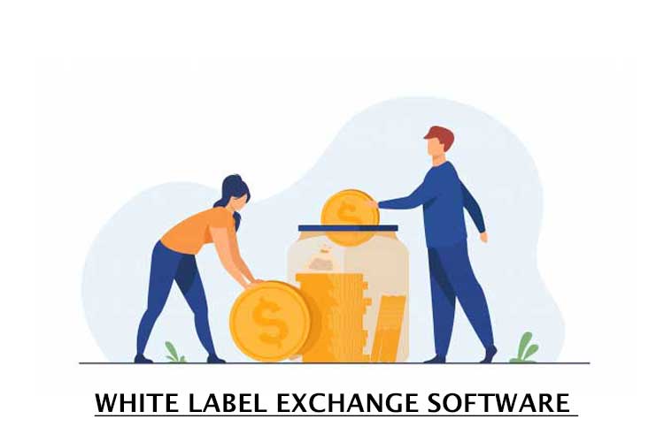 Craft your way to the top by procuring White Label Exchange Solutions
