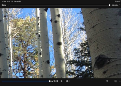 How to Watch MKV Video on iPad from Files App