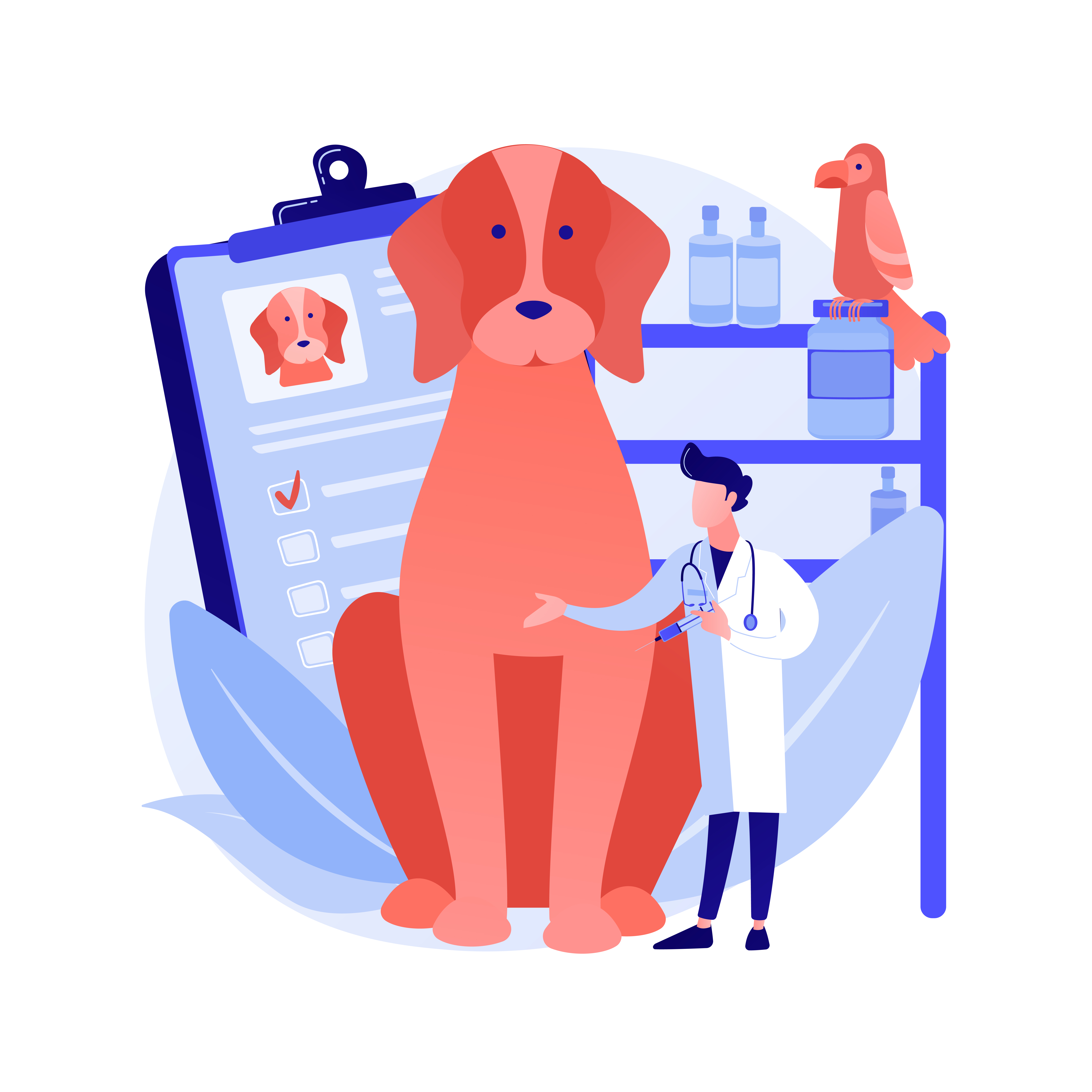 Key Considerations When Selling Your Veterinary Practice