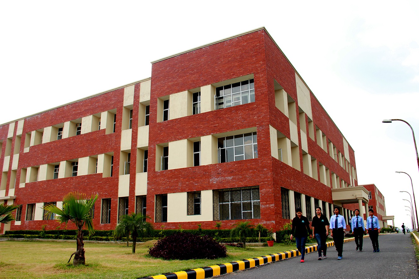 BBA Specialisations – Types of Top BBA Courses in India