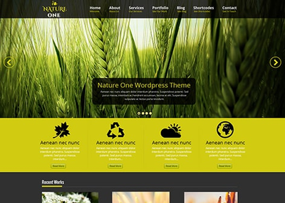 Features of Free Nature WordPress theme