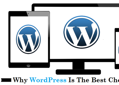 Why WordPress Is The Best Choice