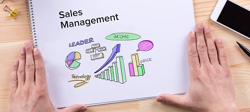 Sales Management Company in Noida